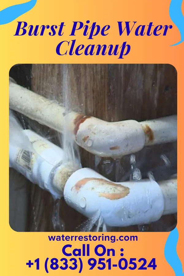 Burst Pipe Water Cleanup in South Gorin, MO