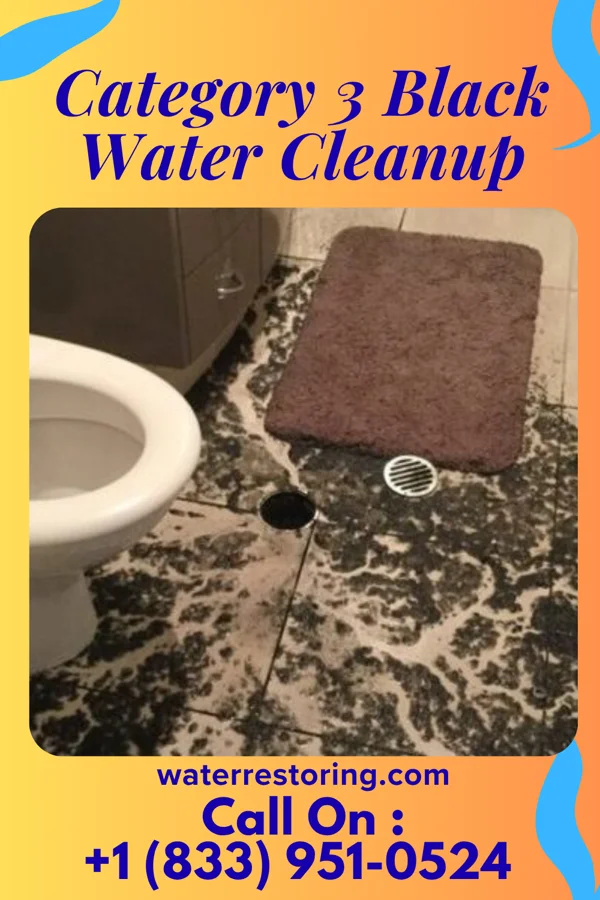 Category 3 Black Water Cleanup in South Gorin, MO