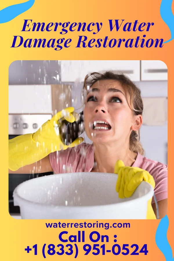 Emergency Water Damage Restoration in South Gorin, MO