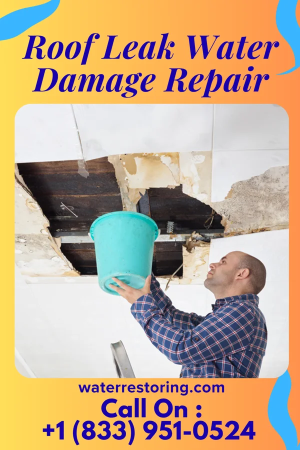 Roof Leak Water Damage Repair in South Gorin, MO