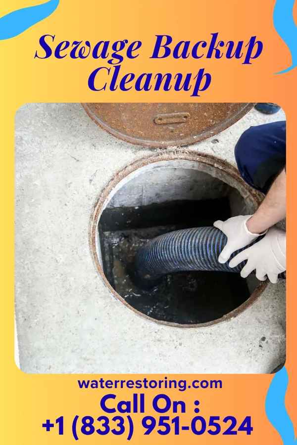 Sewage Backup Cleanup in South Gorin, MO